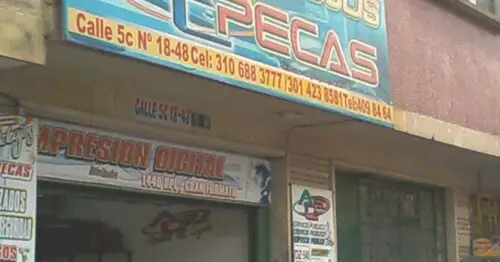 AVISOS Y LUJOS PECAS AVISOS Y LUJOS PECAS